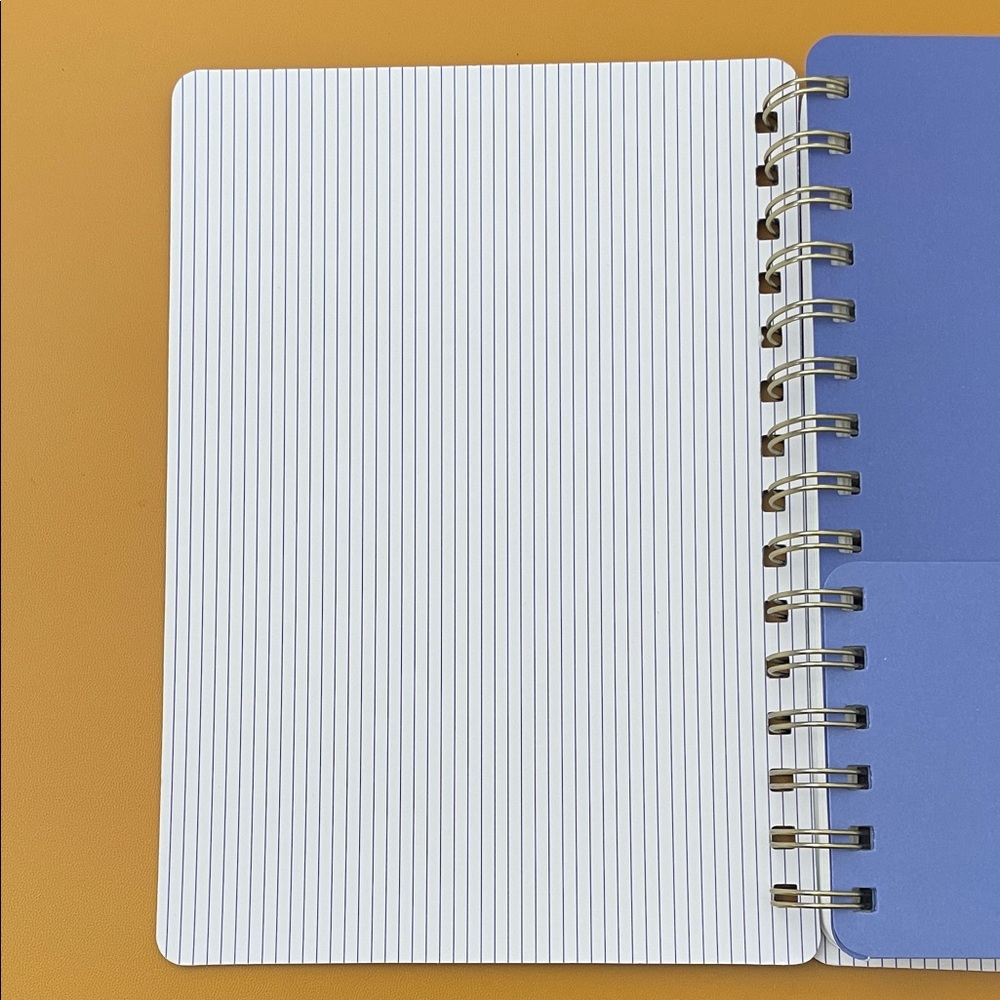 Agatha Notebook - Notes Blue Spiral - Picture 8 of 8